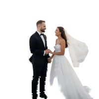 AI Wedding Video